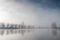 2016_12_29 (0002)